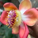 IMG-20260330-WA0008~2