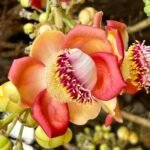 IMG-20260330-WA0013~2